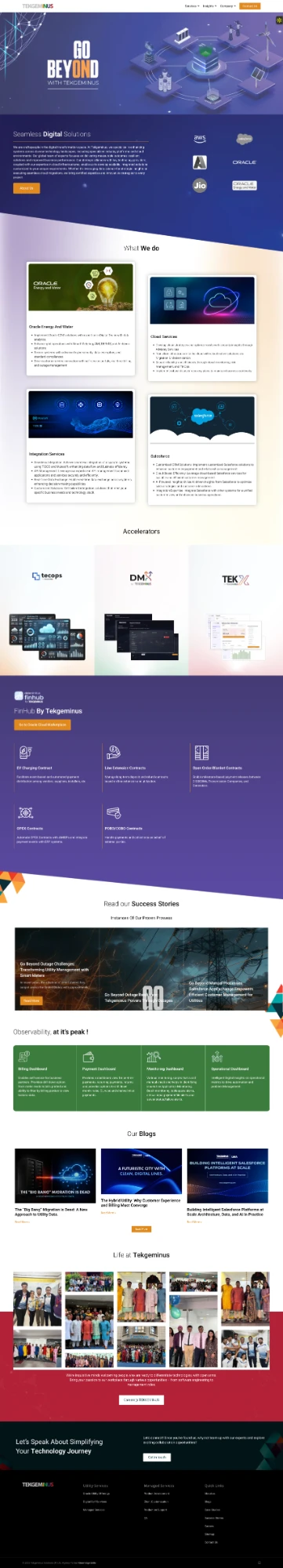 Tekgeminus corporate website, SEO by me